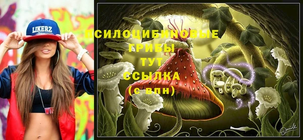 амфетамин Белокуриха